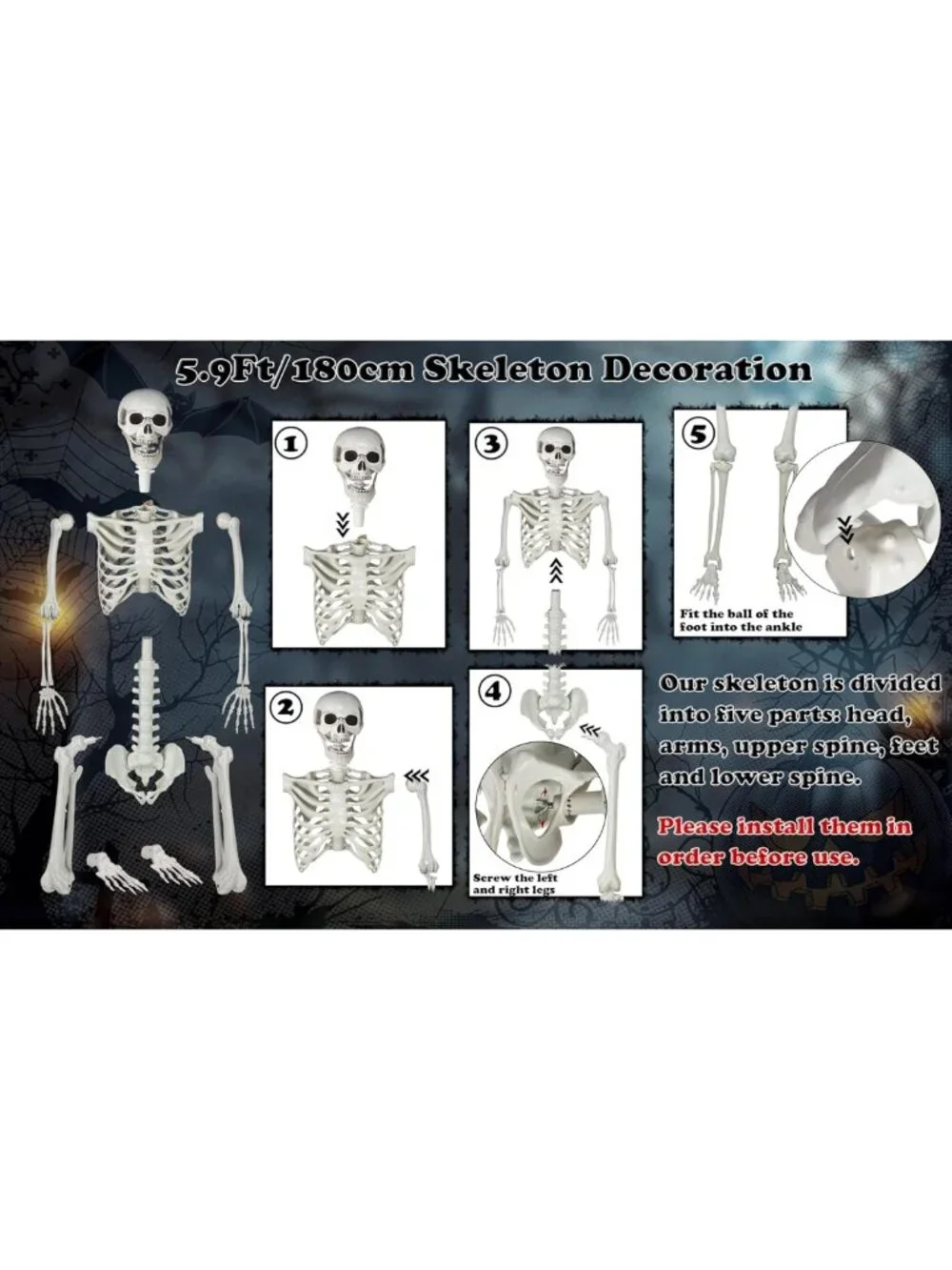 Realistic Life-Size Skeleton with Movable Joints for Halloween Party Decor 5.9ft